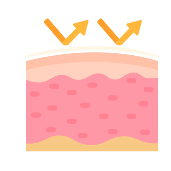 human skin layer Caring for protecting the skin from the sun with a skin serum. png