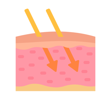 human skin layer Caring for protecting the skin from the sun with a skin serum. png