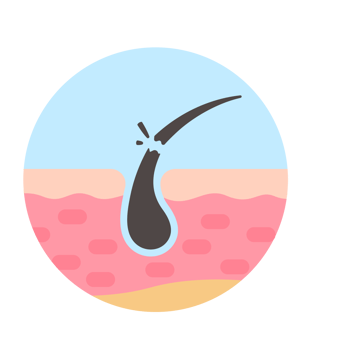 hair follicles on human skin hair disorder hair care png
