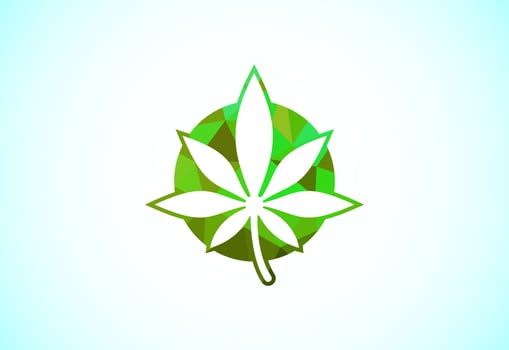 Marijuana leaf. Medical cannabis. Hemp oil. Cannabis or marijuana leaf low poly style logo vector