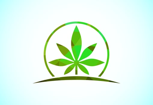 Marijuana leaf. Medical cannabis. Hemp oil. Cannabis or marijuana leaf low poly style logo vector