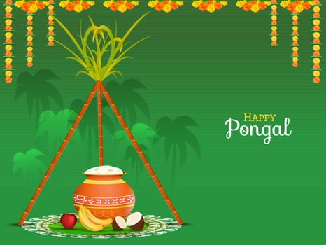 Happy Pongal Celebration Background With Pongali Rice Mud Pot, Fruits And Sugarcane On Rangoli. vector
