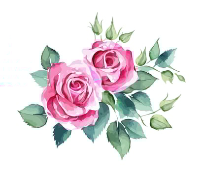 Pretty Pink Watercolor Roses vector