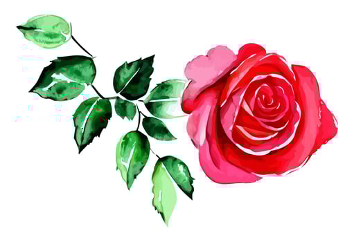 Delicate Red Watercolor Rose vector