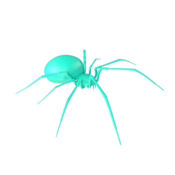 spider isolated on transparent background png