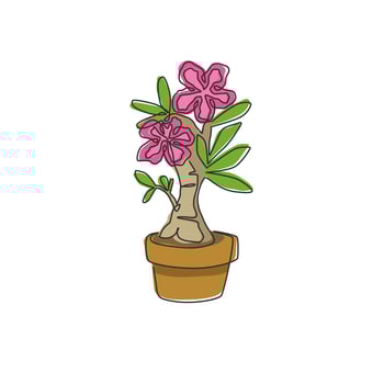 One single line drawing of fresh beauty potted adenium for garden logo. Printable poster decorative desert rose flower concept for wall home decor. Continuous line draw design vector illustration