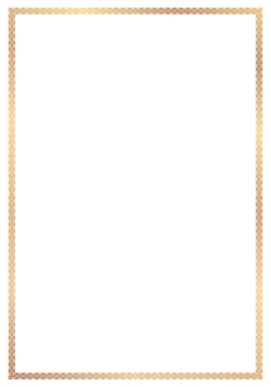 Golden ornamental frame vector