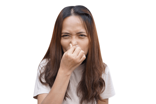 Asian women use it to cover their noses from the bad smell. png