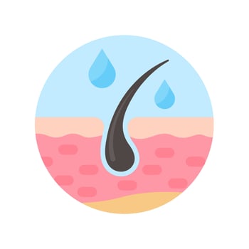 hair follicles on human skin hair disorder hair care vector