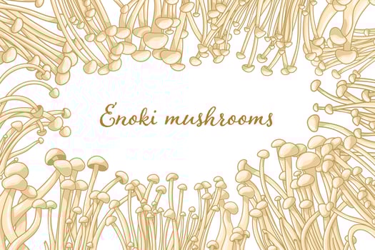Enoki mushroom frame. Asian food drawing. Colorful gourmet fungus about asian food. Edible gourmet enoki for healthy lifestyle vector