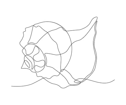 seashell Continuous One Line Drawing vector