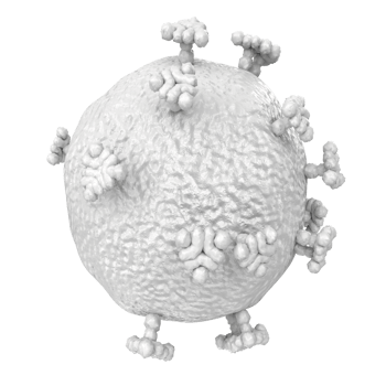 virus isolated on transparent background png