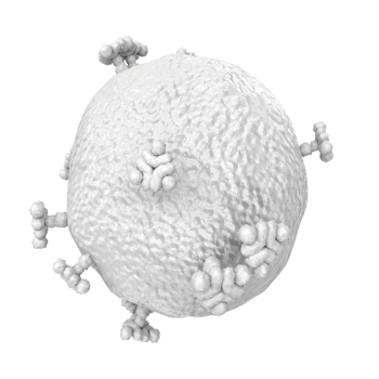 virus isolated on transparent background png