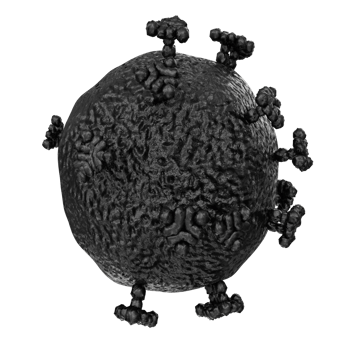 virus isolated on transparent background png