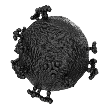 virus isolated on transparent background png