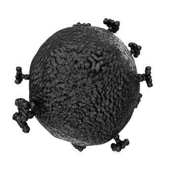 virus isolated on transparent background png