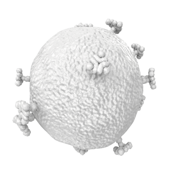 virus isolated on transparent background png