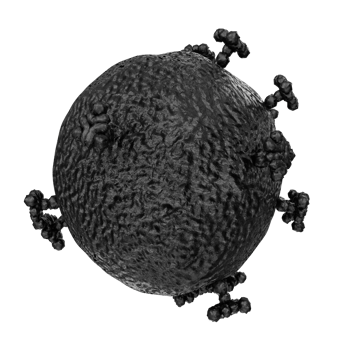 virus isolated on transparent background png