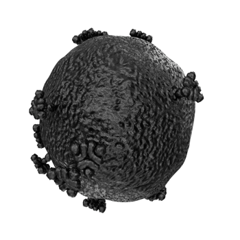 virus isolated on transparent background png