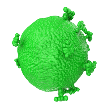 virus isolated on transparent background png