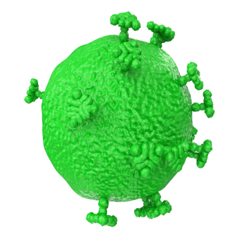 virus isolated on transparent background png