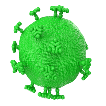 virus isolated on transparent background png