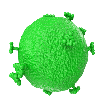 virus isolated on transparent background png