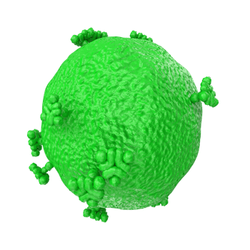 virus isolated on transparent background png