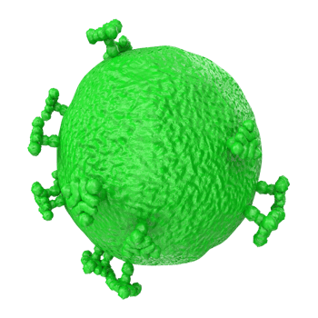 virus isolated on transparent background png