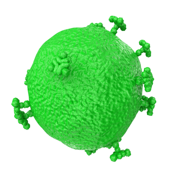 virus isolated on transparent background png