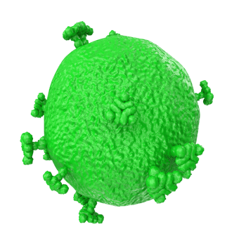 virus isolated on transparent background png