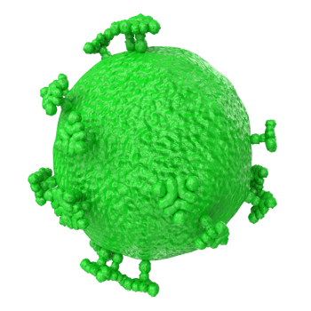 virus isolated on transparent background png
