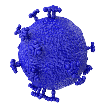 virus isolated on transparent background png