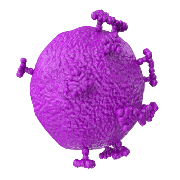 virus isolated on transparent background png
