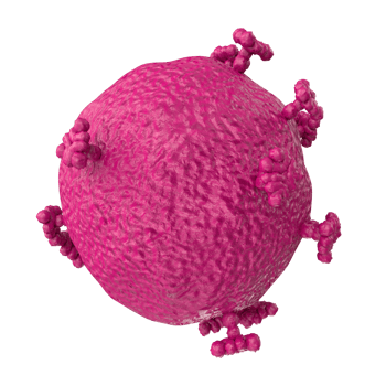 virus isolated on transparent background png