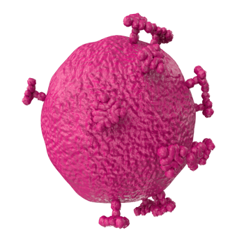 virus isolated on transparent background png