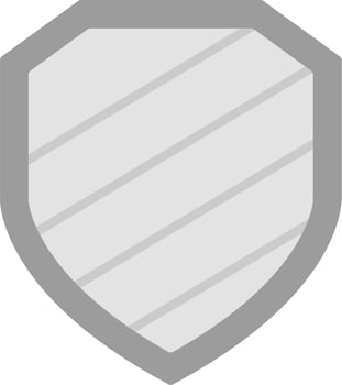 Shield Vector Icon
