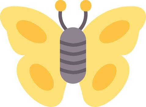 Butterfly Vector Icon