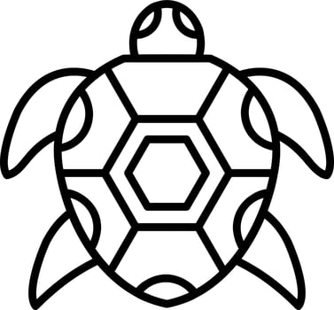 Turtle Vector Icon