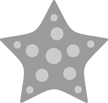Starfish Vector Icon