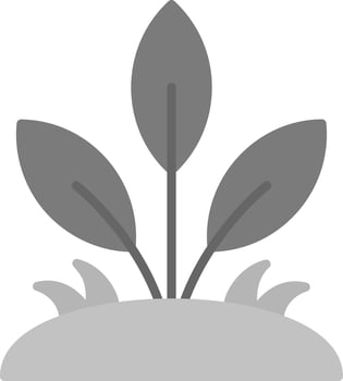 Leaf Vector Icon