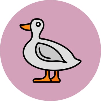 Duck Vector Icon