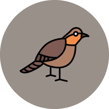 Robin Vector Icon