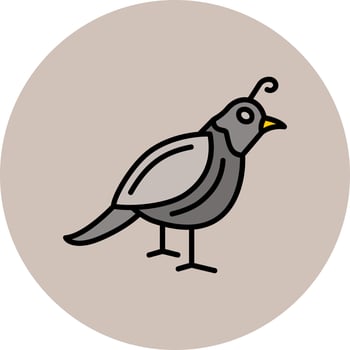 Quail Vector Icon