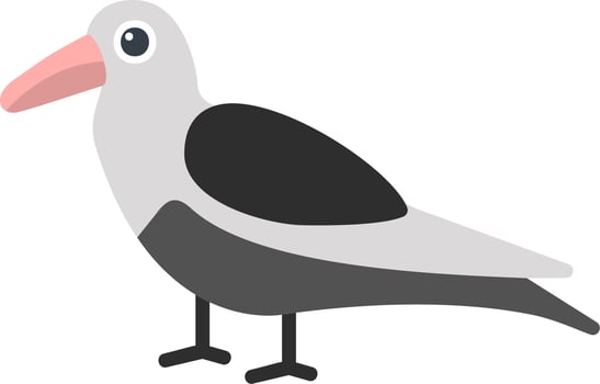 Oystercatcher Vector Icon