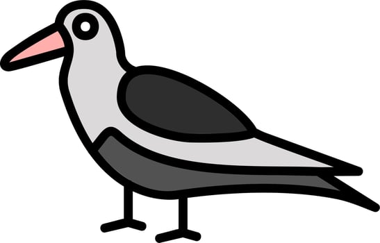 Oystercatcher Vector Icon