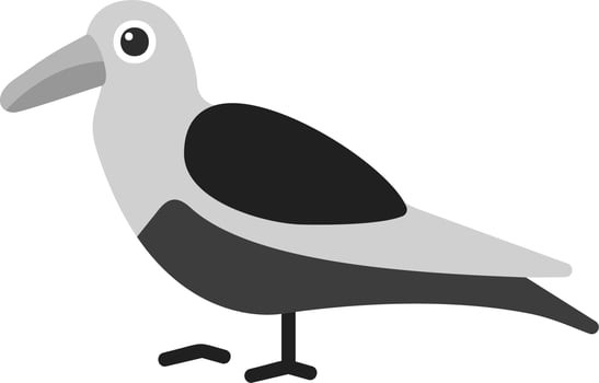 Oystercatcher Vector Icon