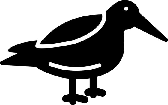 Dunlin Vector Icon