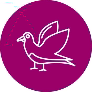 Bird Vector Icon