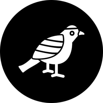 Humming bird Vector Icon